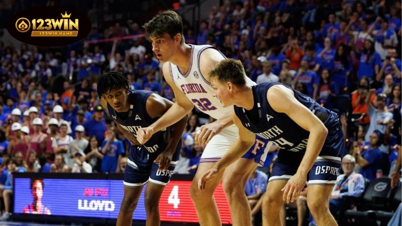  Cá cược bóng rổ – Trò chơi chiến thuật và cơ hội thắng lớn